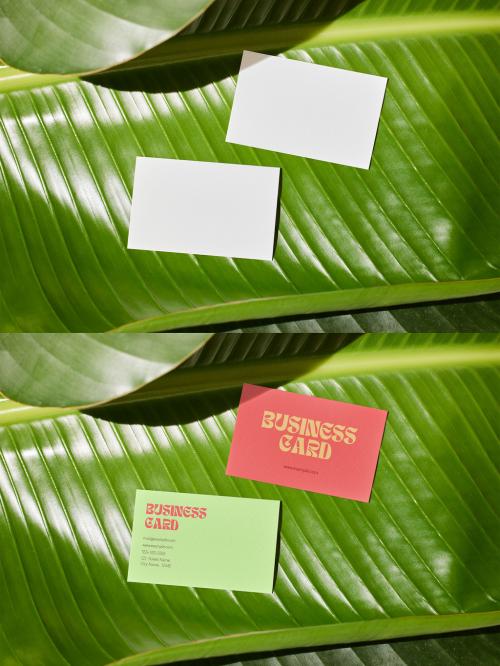 Two Business Card Mockup on Green Leaf