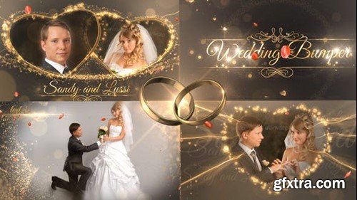 Videohive Wedding Package 18844092