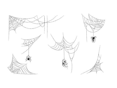 Spider Webs