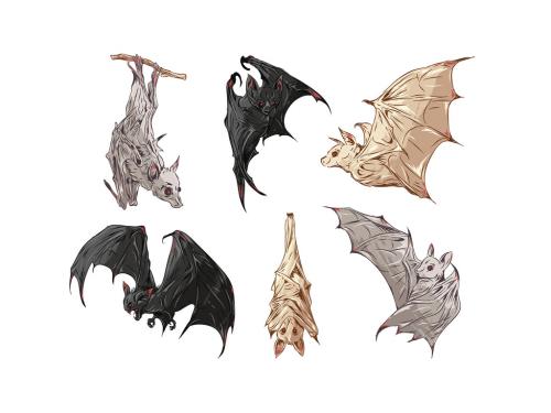 Vampire Bat Illustrations with Scary Horror Style