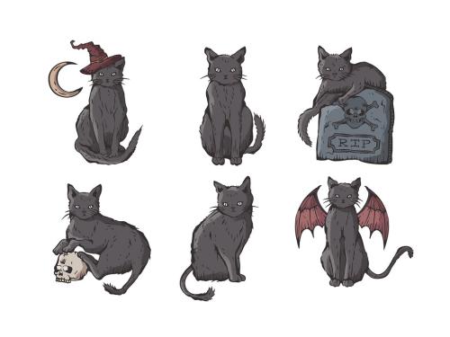 Black Cat Illustrations for Halloween