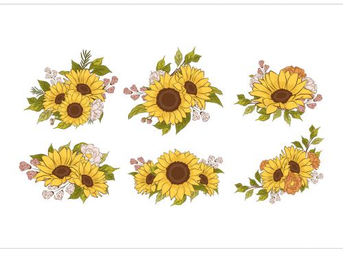 Yellow Flower Sunflower Illustrations