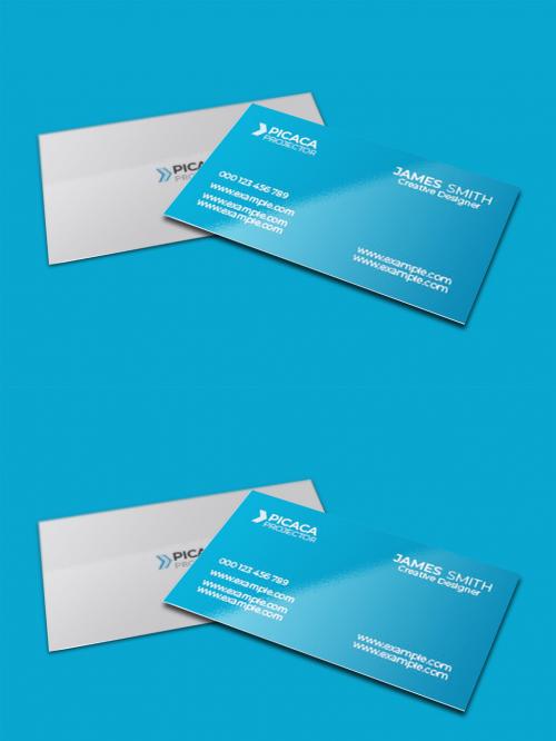 Picaca Business Card