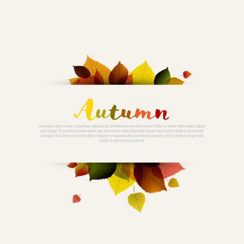 Autumn Leafs Sale Post Banner Layout Template with Stripe