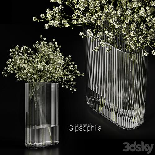 A bouquet of gypsophila