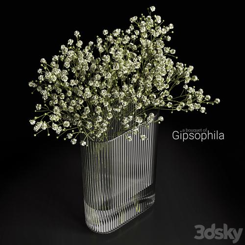 A bouquet of gypsophila