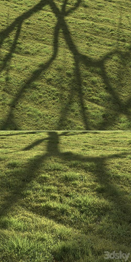 Grass landscape