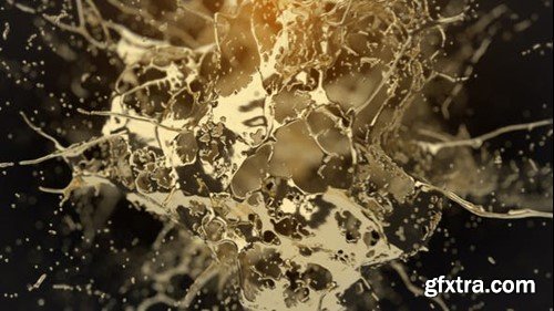 Videohive Golden Splash Logo Reveal 38077274