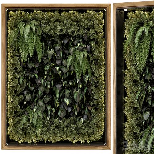 Indoor Wall Vertical Garden in Wooden Base - Set 523