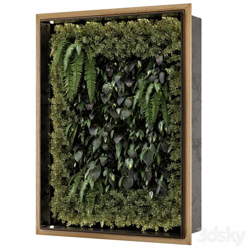 Indoor Wall Vertical Garden in Wooden Base - Set 523