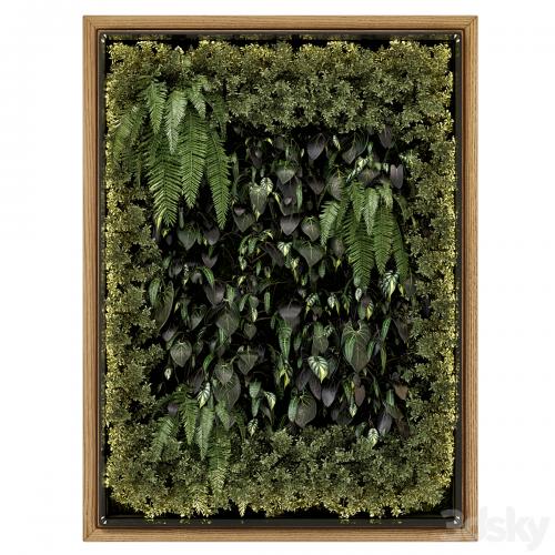 Indoor Wall Vertical Garden in Wooden Base - Set 523