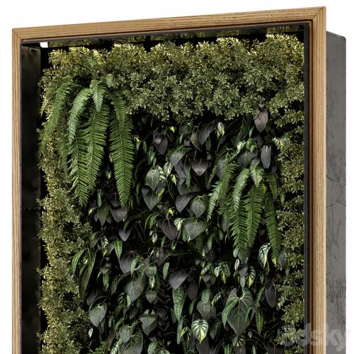 Indoor Wall Vertical Garden in Wooden Base - Set 523