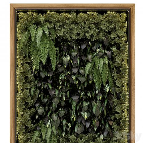 Indoor Wall Vertical Garden in Wooden Base - Set 523