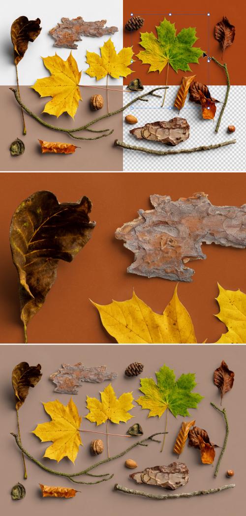 Autumn Nature Items Scene Creator