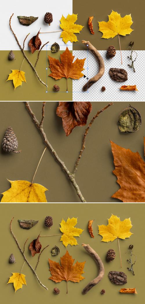 Autumn Nature Items Scene Creator