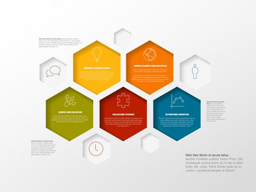 Vector Minimalist Infographic Report Layout with Hexagons