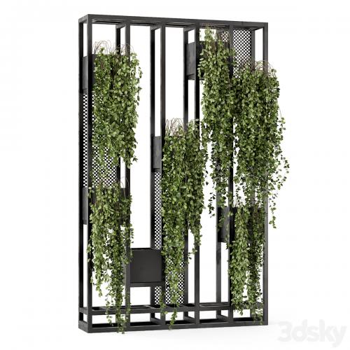 Indoor Hanging Plants in Metal Stand - Set 848