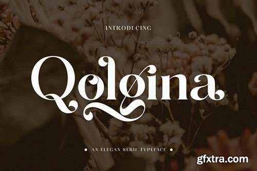 Qolgina Elegant Serif Typeface YFH5F3E