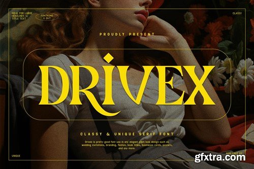 Drivex - Classy and Unique Serif Font 3H5TMRK