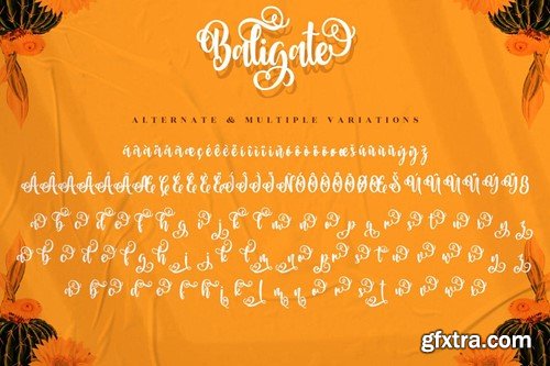 Baligate - Swash Font DZVGC57