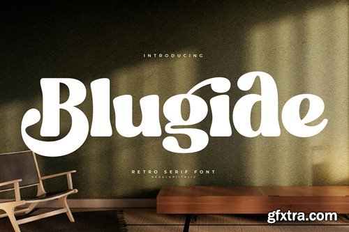 Blugide Retro Serif Font REU46DA