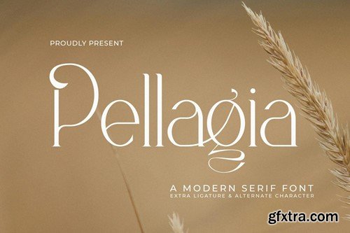 Pellagia WBAJC5F