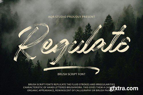 Regulate Brush Font YCMG4MB