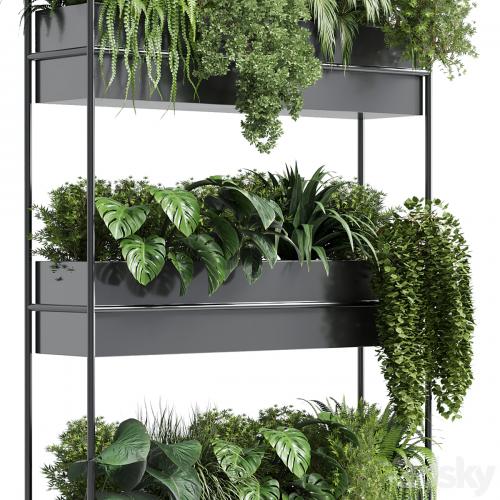 stand wall decor with shelves for the closet or showcase plants collection 179