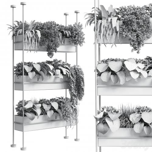 stand wall decor with shelves for the closet or showcase plants collection 179