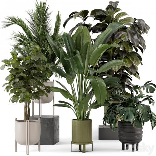 Indoor Plants in Ferm Living Bau Pot Large - Set 976