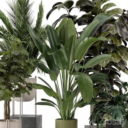 Indoor Plants in Ferm Living Bau Pot Large - Set 976