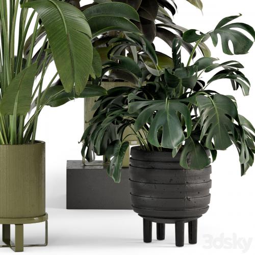 Indoor Plants in Ferm Living Bau Pot Large - Set 976