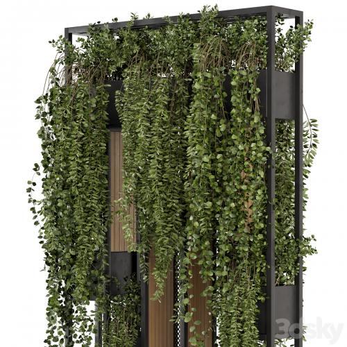 Indoor Hanging Plants in Metal Stand - Set 1005