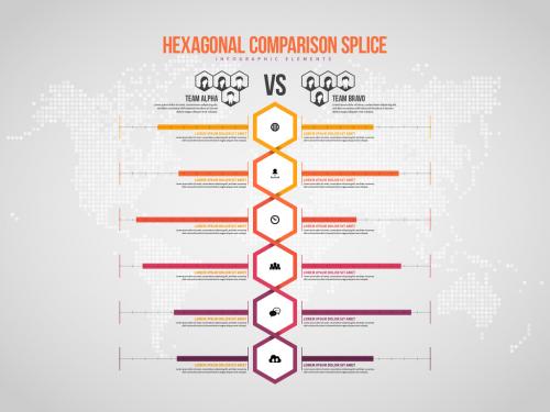 Hexagonal Splice Infographic