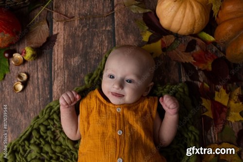 Small Child On A Brown Background 6xJPEG