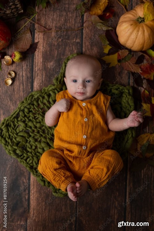 Small Child On A Brown Background 6xJPEG