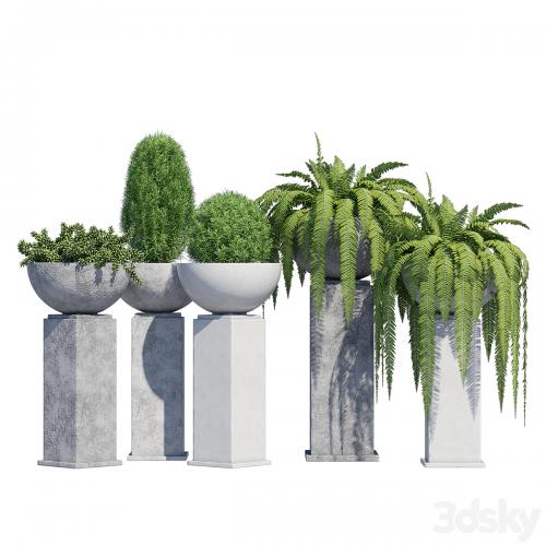 Modern planter