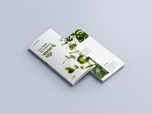 Trifold Brochure Mockup