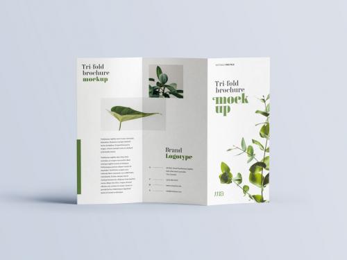 Trifold Brochure Mockup