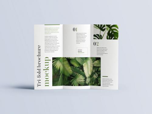 Trifold Brochure Mockup