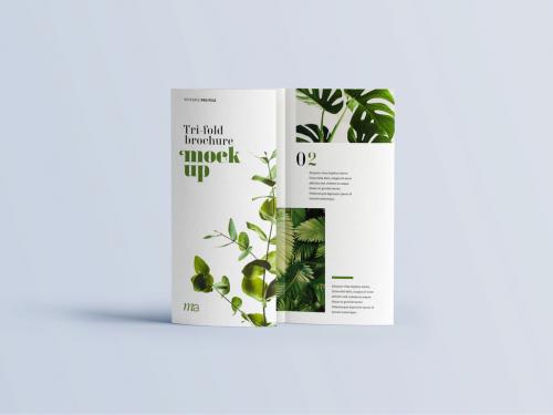 Trifold Brochure Mockup