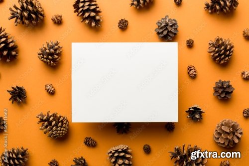 Creative Frame Made Of Christmas Pine Cones 6xJPEG