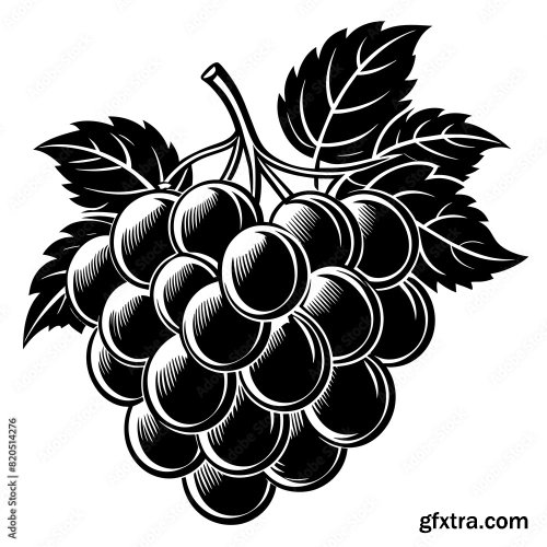 A Bunch Of Grapes 6xSVG