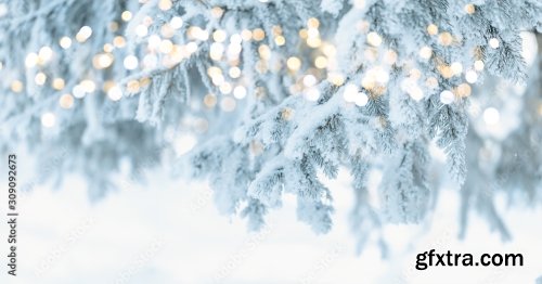 Christmas Tree Background 6xJPEG