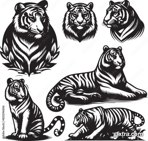 Tiger Bundle Vector 6xAI