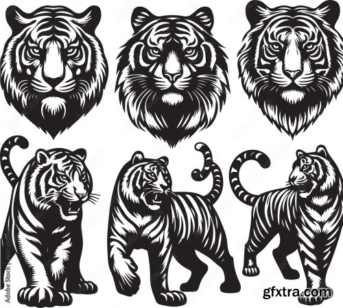 Tiger Bundle Vector 6xAI