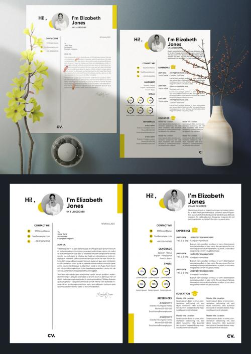 Professional Curriculum Vitae Layout