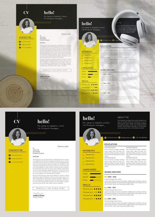 Professional Curriculum Vitae Layout