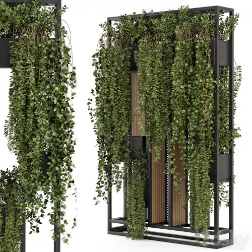 Indoor Hanging Plants in Metal Stand - Set 1005