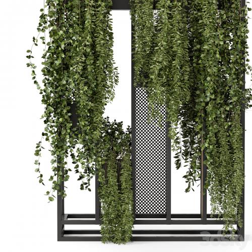 Indoor Hanging Plants in Metal Stand - Set 1005